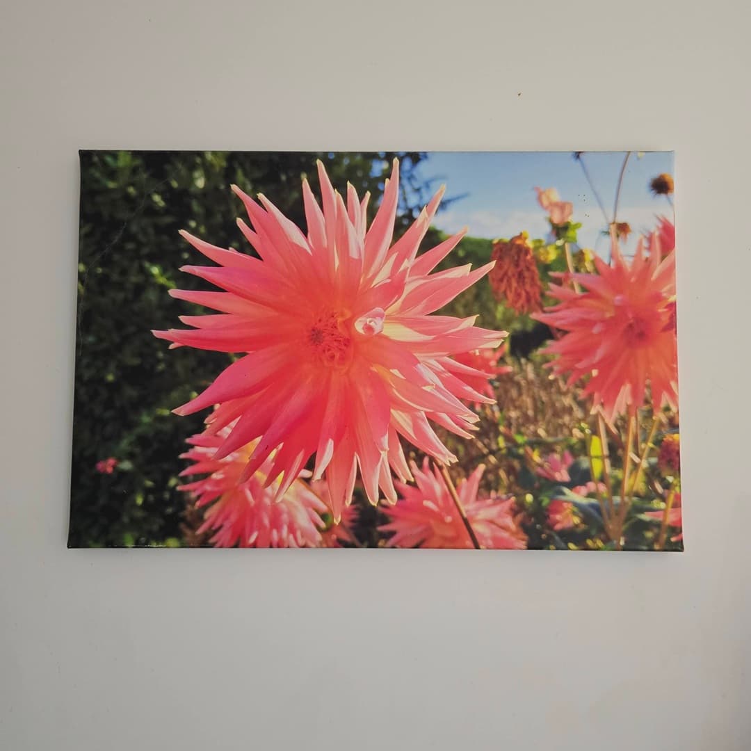 Canva flower sur un mur